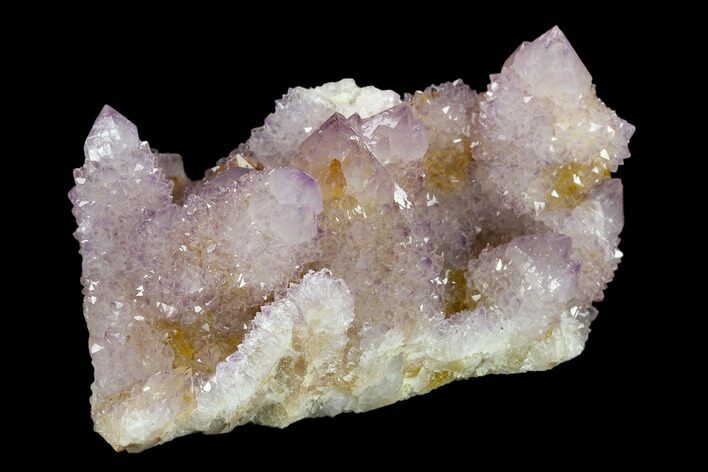 Cactus Quartz (Amethyst) Crystal Cluster - South Africa #132521
